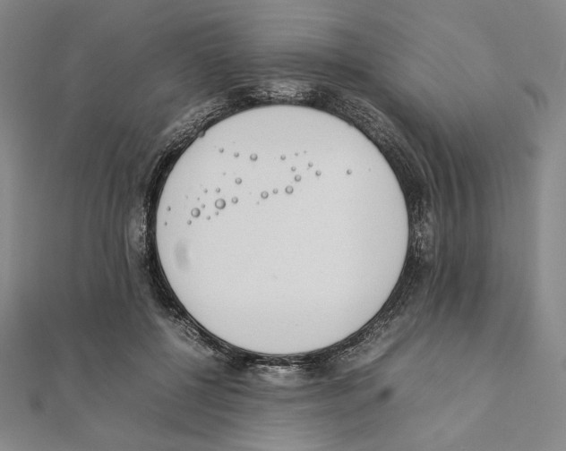 X0000111140552200907281114