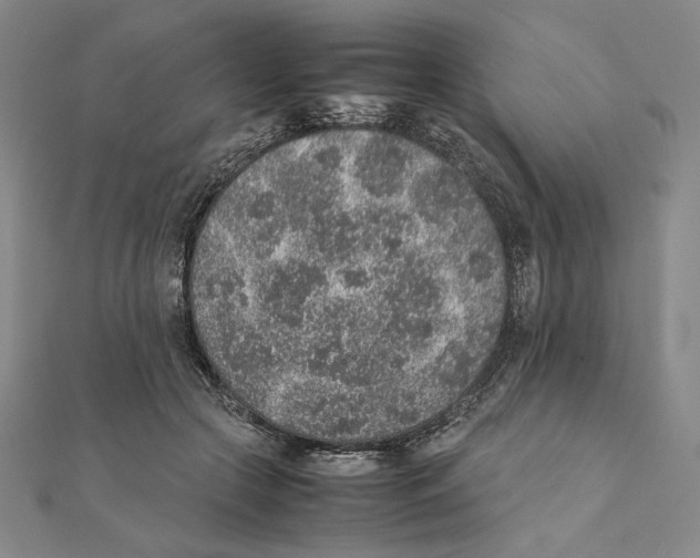 X0000111140553200907281114