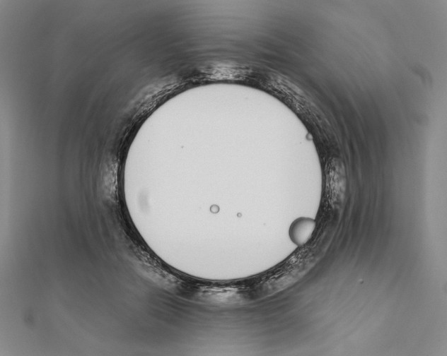 X0000111140554200907281114