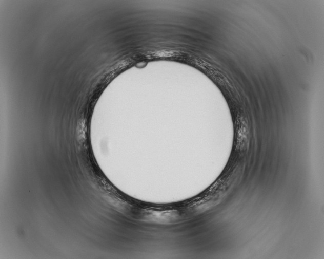 X0000111140555200907281114