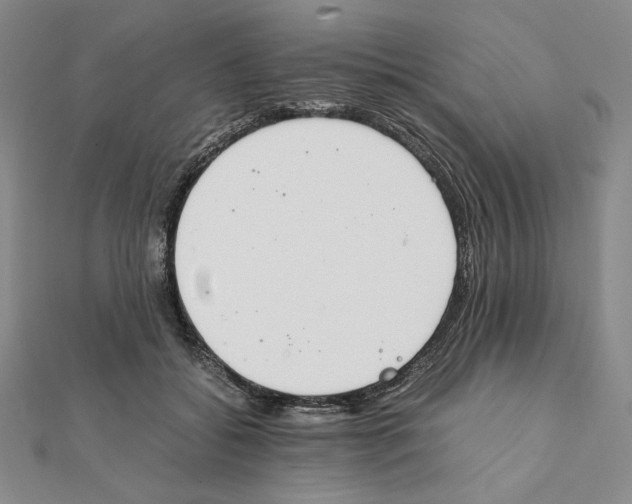 X0000111140556200907281114