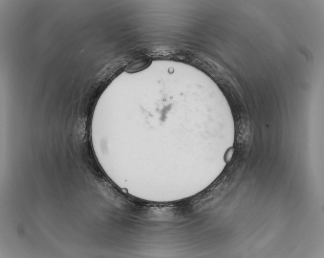 X0000111140560200907281114