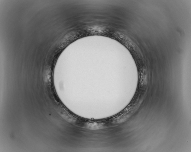 X0000111140561200907281114