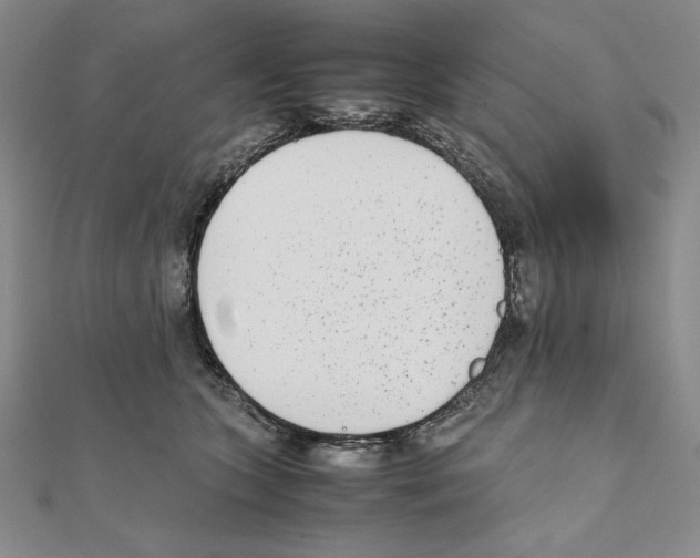 X0000111140563200907281114