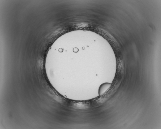 X0000111140565200907281114