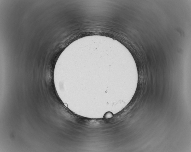 X0000111140566200907281114