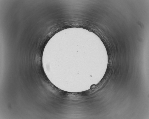 X0000111140568200907281114