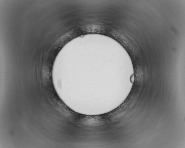 X0000111140569200907281114