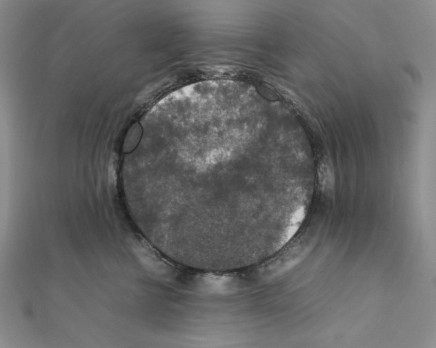 X0000111140570200907281114