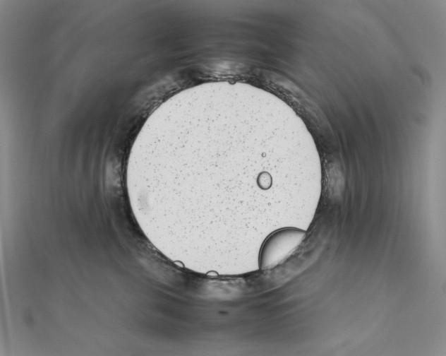 X0000111140571200907281114