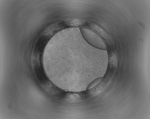 X0000111140572200907281114