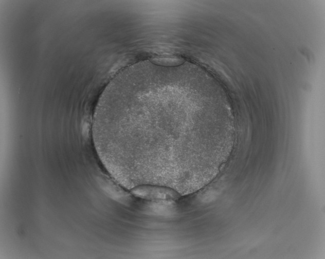 X0000111140576200907281114