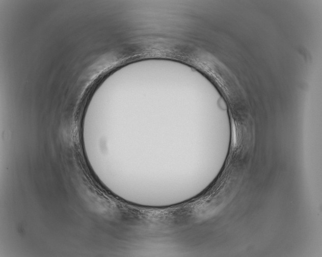 X0000111140579200907281114