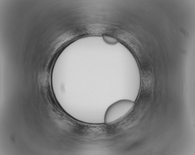 X0000111140583200907281114