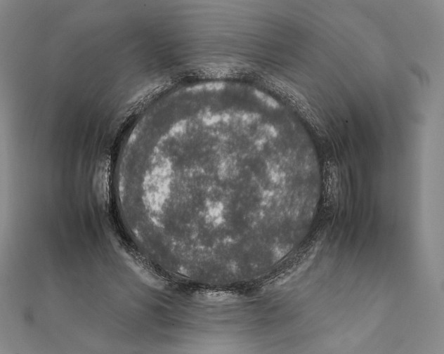 X0000111140590200907281114