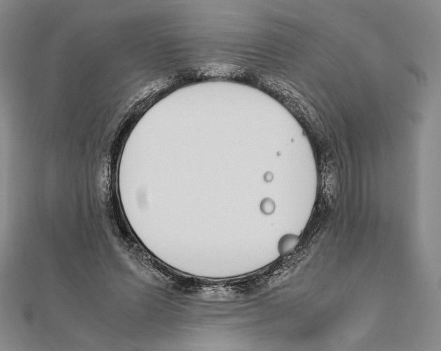 X0000111140591200907281114