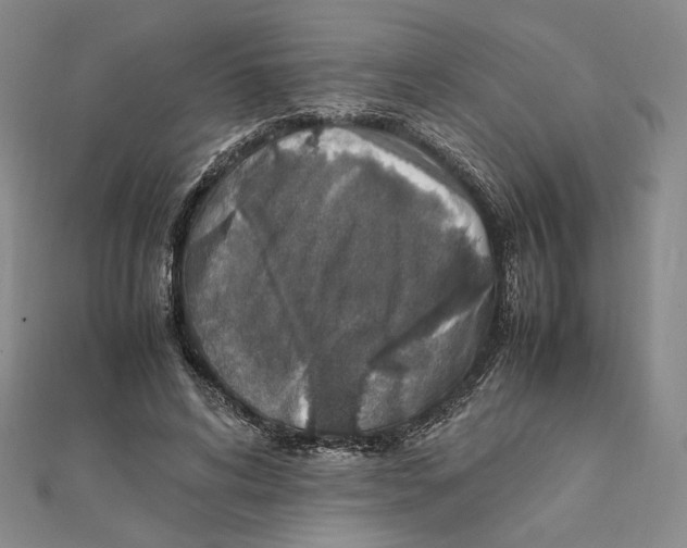 X0000111140592200907281114