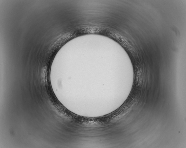 X0000111140594200907281114