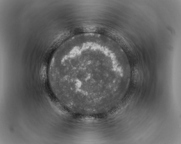 X0000111140598200907281113