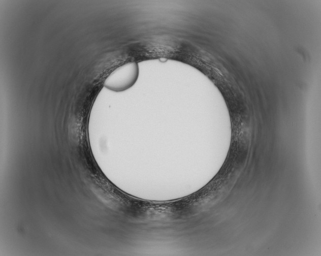 X0000111140599200907281113