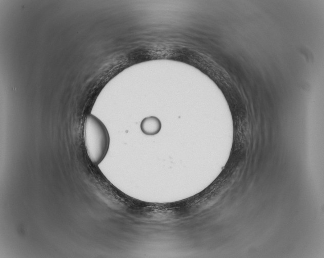 X0000111140601200907281113