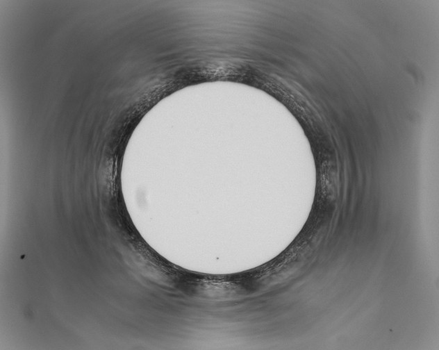 X0000111140605200907281113