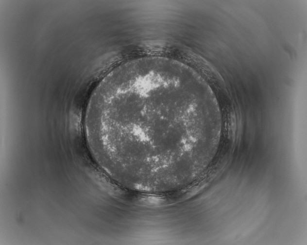 X0000111140610200907281113