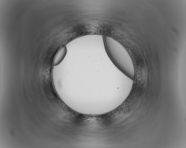 X0000111140611200907281113