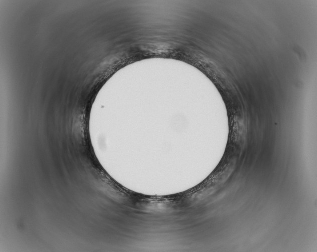 X0000111140612200907281113