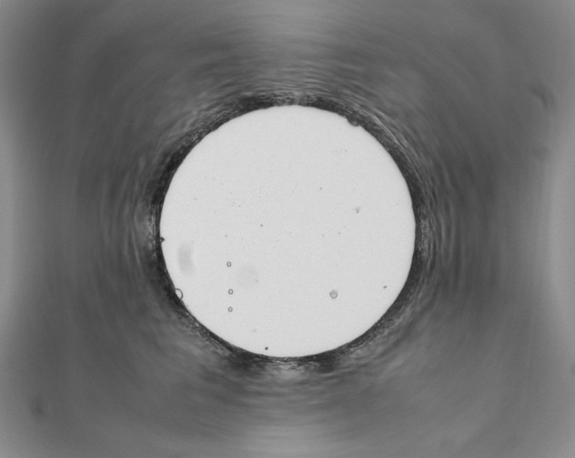 X0000111140613200907281113