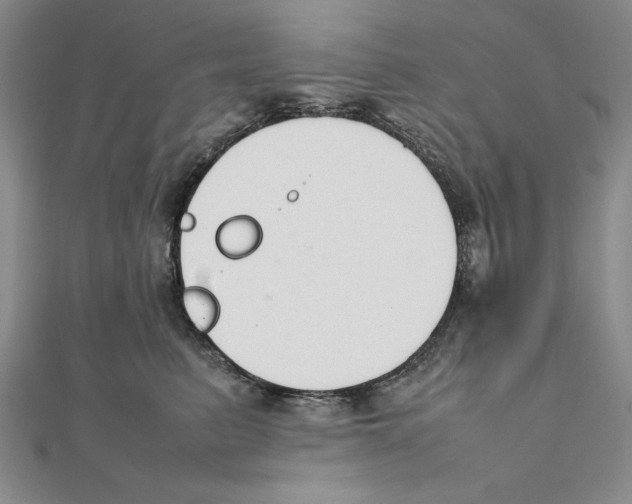 X0000111140615200907281113