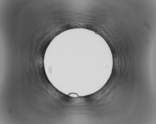 X0000111140617200907281113