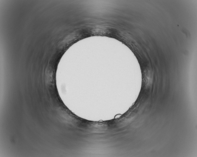 X0000111140619200907281113