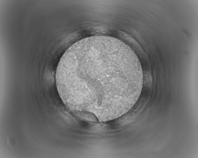 X0000111140621200907281113