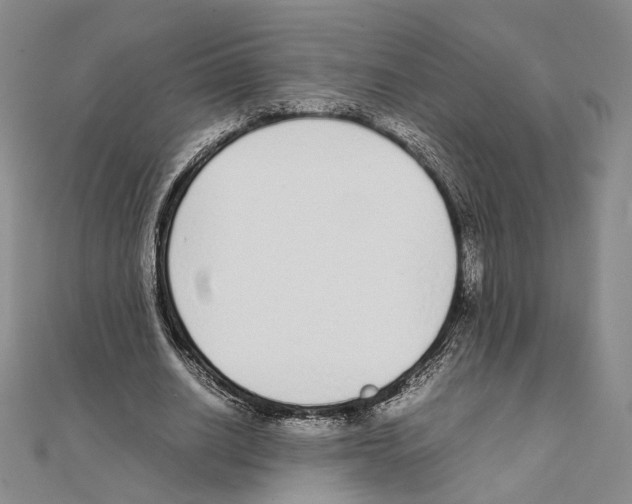 X0000111140630200907281113