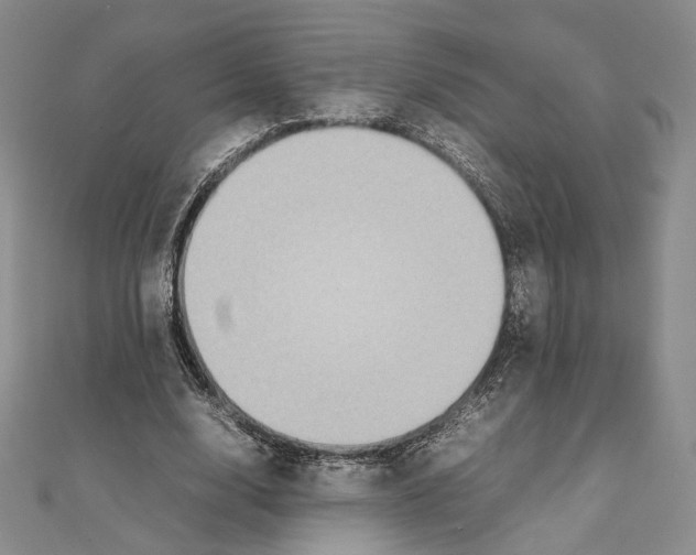 X0000111140632200907281113