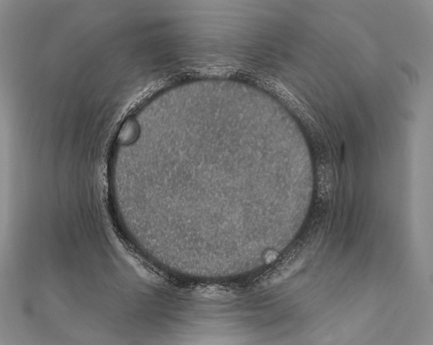 X0000111140634200907281113