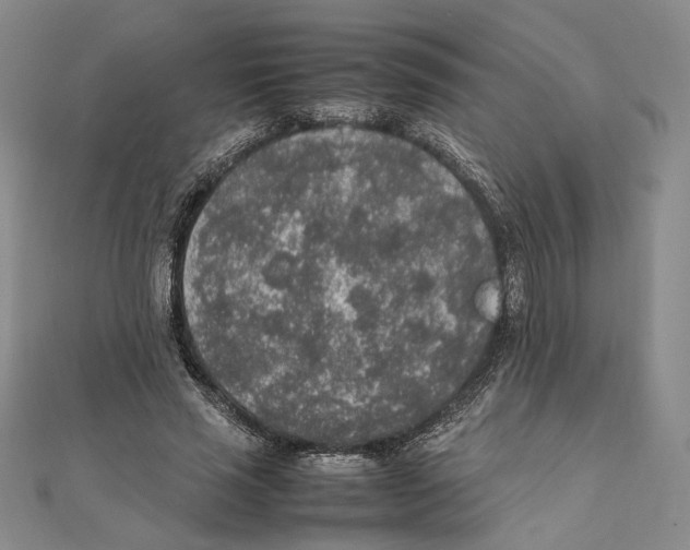 X0000111140637200907281113