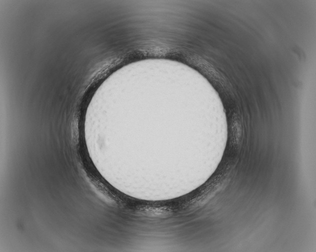 X0000111140638200907281113