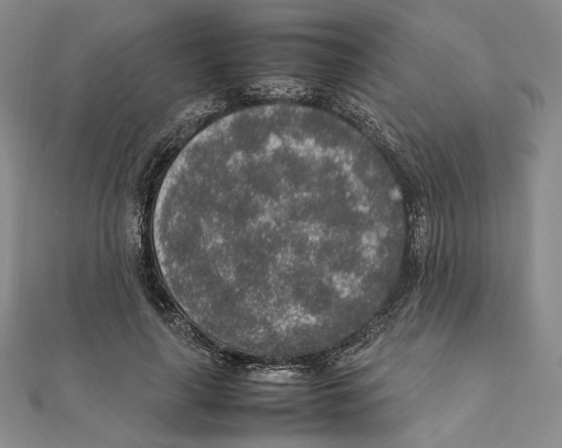 X0000111140643200907281113