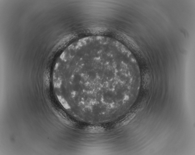 X0000111140644200907281113