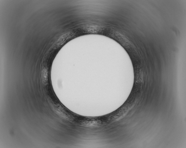 X0000111140646200907281113