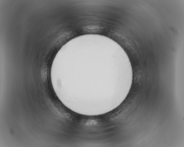 X0000111140647200907281113