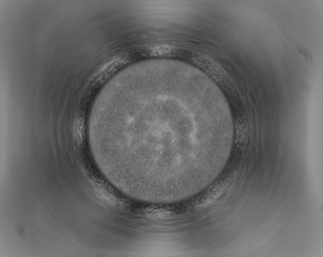 X0000111140648200907281113