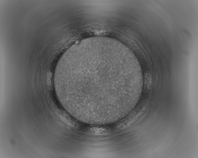 X0000111140650200907281113