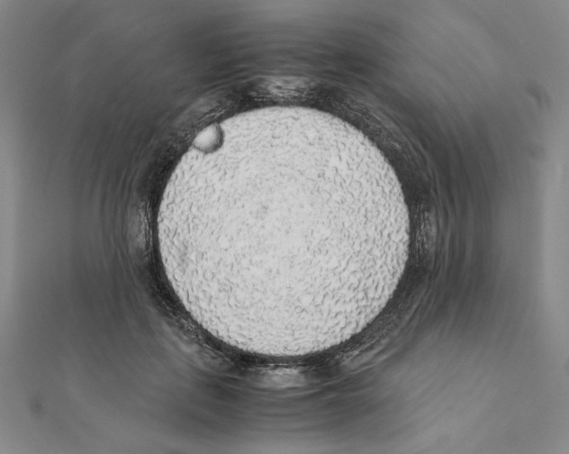 X0000111140651200907281113