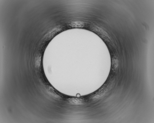 X0000111140652200907281113