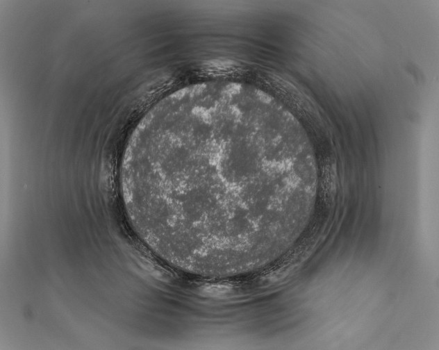 X0000111140653200907281113