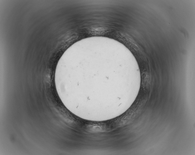 X0000111140655200907281113