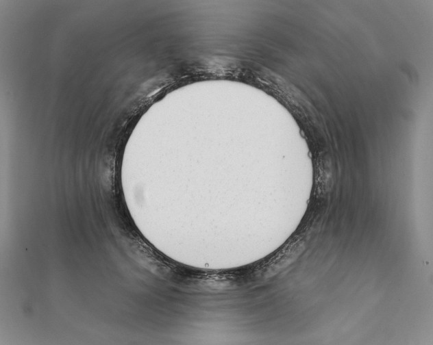 X0000111140656200907281113